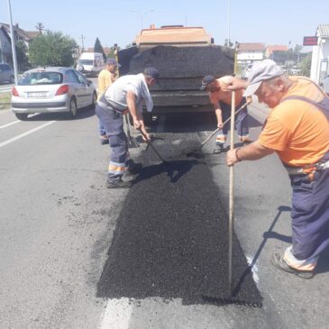 Асфалтирање Далматинске и поправка оштећења на државном путу од кружног тока у Ветернику до улаза у Футог